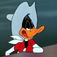 finkinboots's profile picture